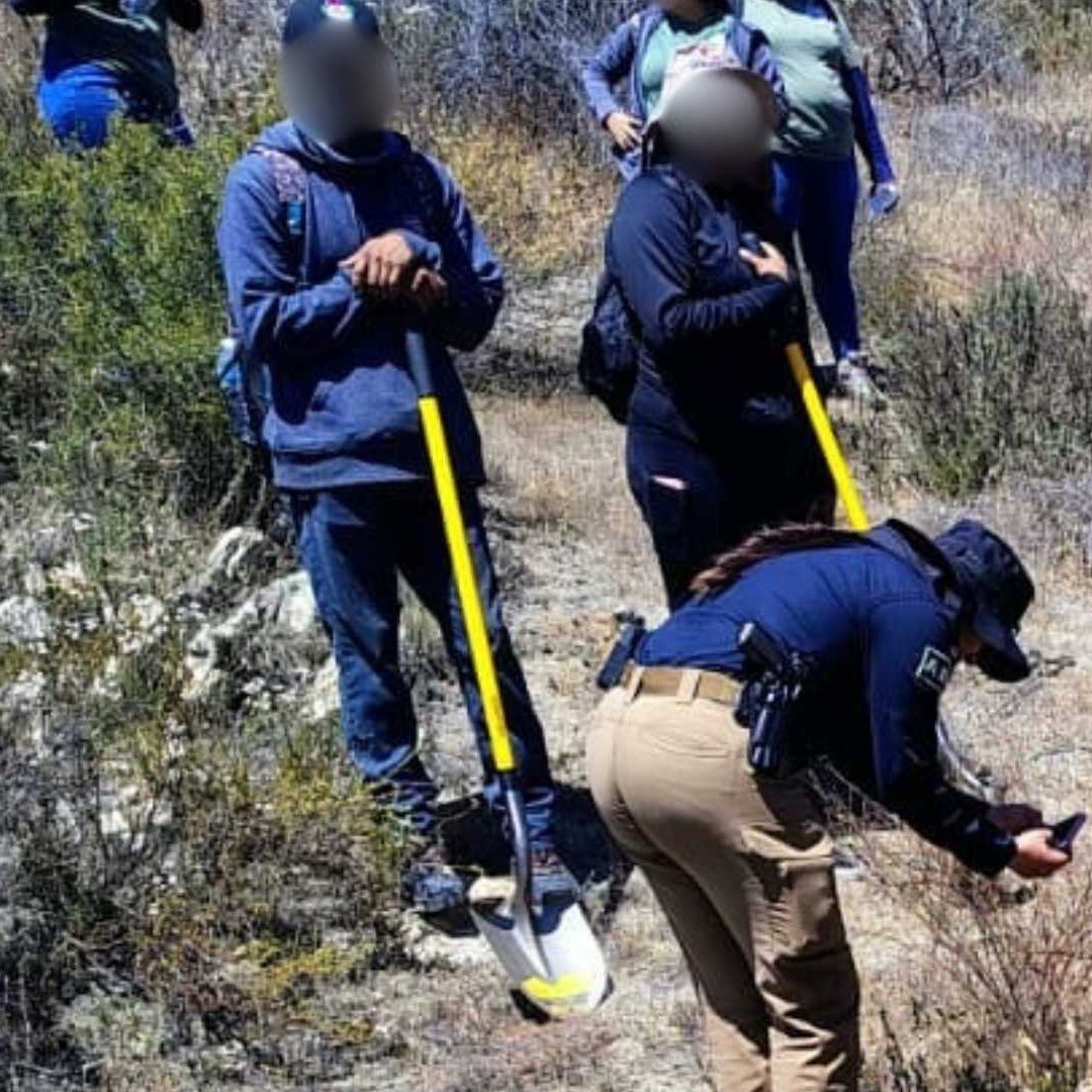 Localizan Restos Óseos en Operativo de Búsqueda en Cerro de Ensenada